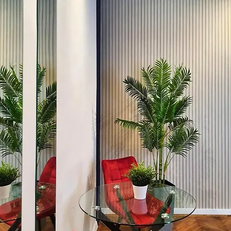 Daire Calea Victoriei Studio By Magic *